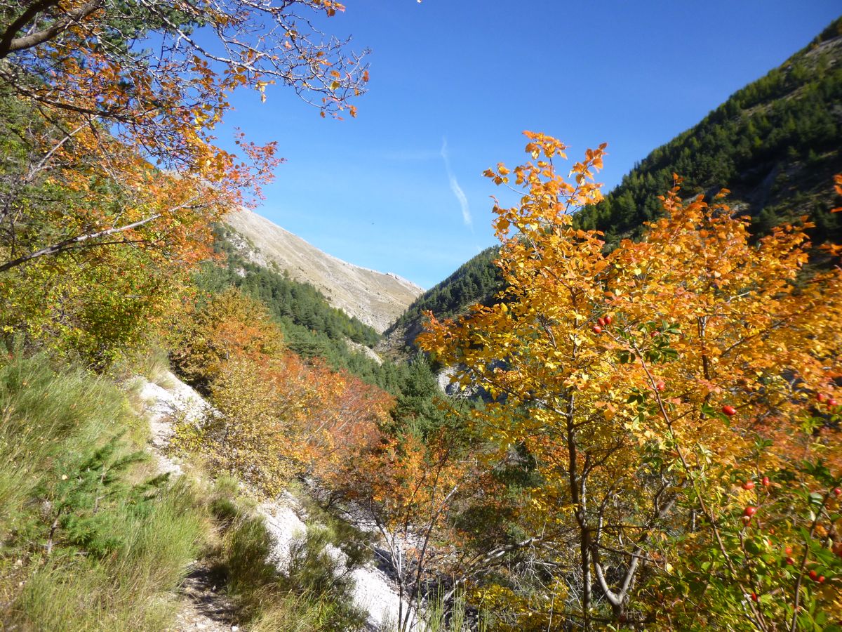 le refuge des Boules