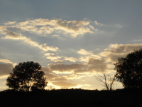 PICT0303