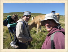 Cantal - 068