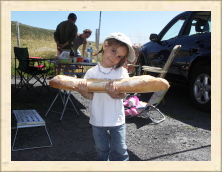 Cantal - 081