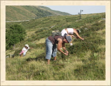 Cantal - 100