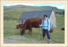 Cantal - 009