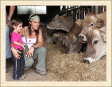 Cantal - 133