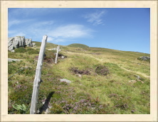 Cantal - 029
